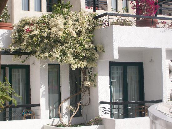Kahramana Hotel Naama Bay 샤름 엘 셰이크 외부 사진